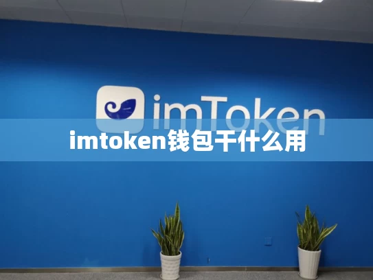 imtoken钱包干什么用