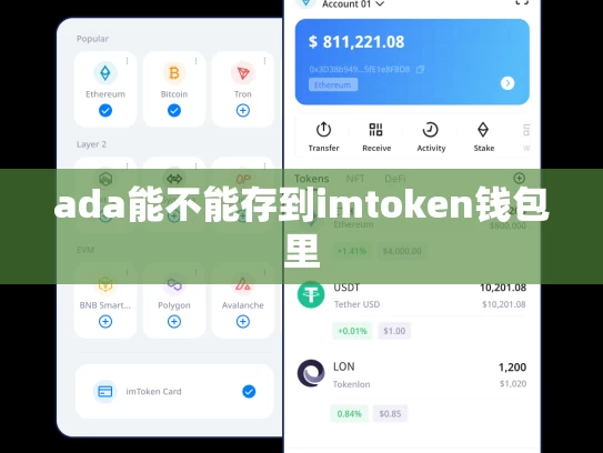 ada能不能存到imtoken钱包里