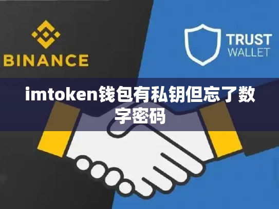 imtoken钱包有私钥但忘了数字密码