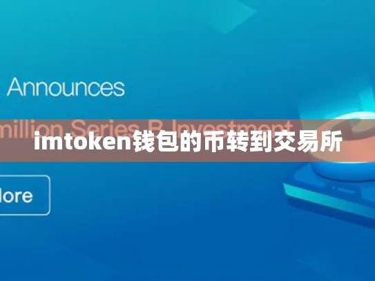 imtoken钱包的币转到交易所