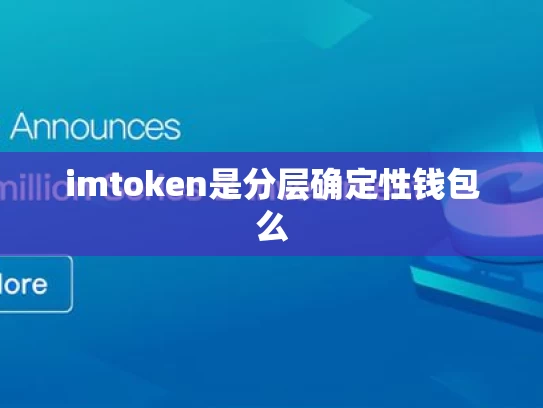 imtoken是分层确定性钱包么