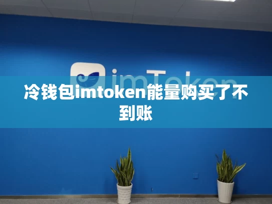 冷钱包imtoken能量购买了不到账