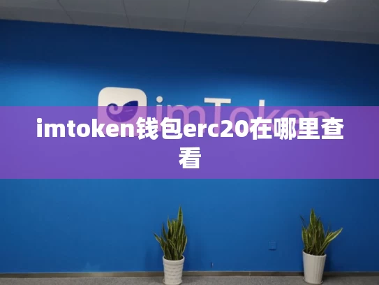imtoken钱包erc20在哪里查看