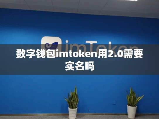 数字钱包imtoken用2.0需要实名吗