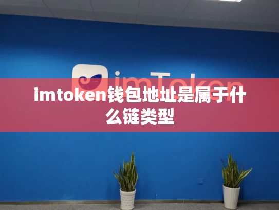 imtoken钱包地址是属于什么链类型