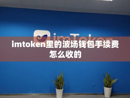 imtoken里的波场钱包手续费怎么收的