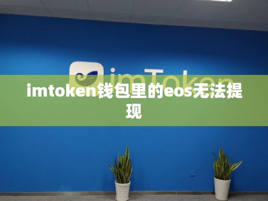imtoken钱包里的eos无法提现