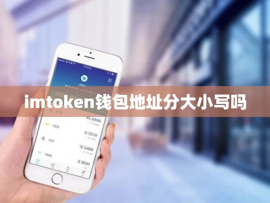 imtoken钱包地址分大小写吗
