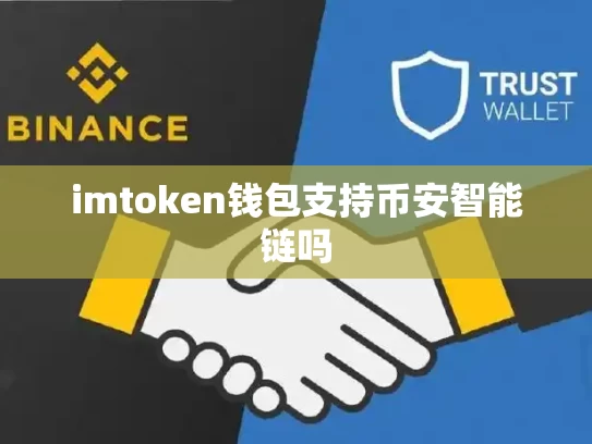 imtoken钱包支持币安智能链吗