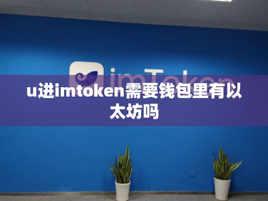 u进imtoken需要钱包里有以太坊吗