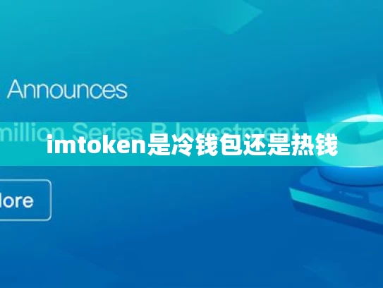 imtoken是冷钱包还是热钱
