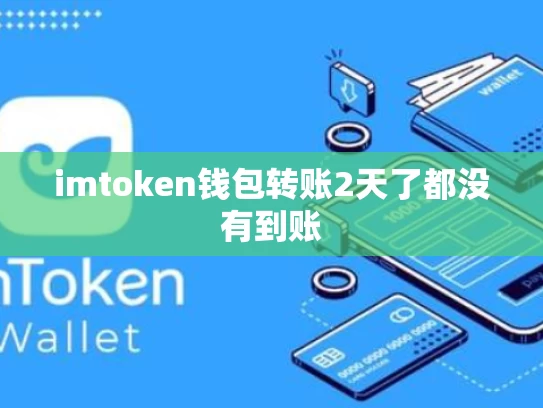 imtoken钱包转账2天了都没有到账