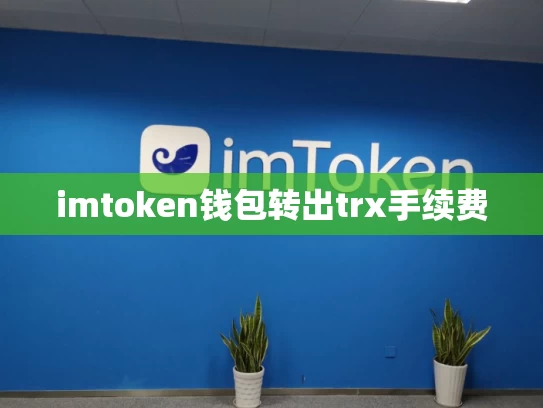 imtoken钱包转出trx手续费