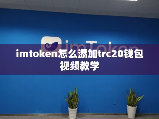 imtoken怎么添加trc20钱包视频教学